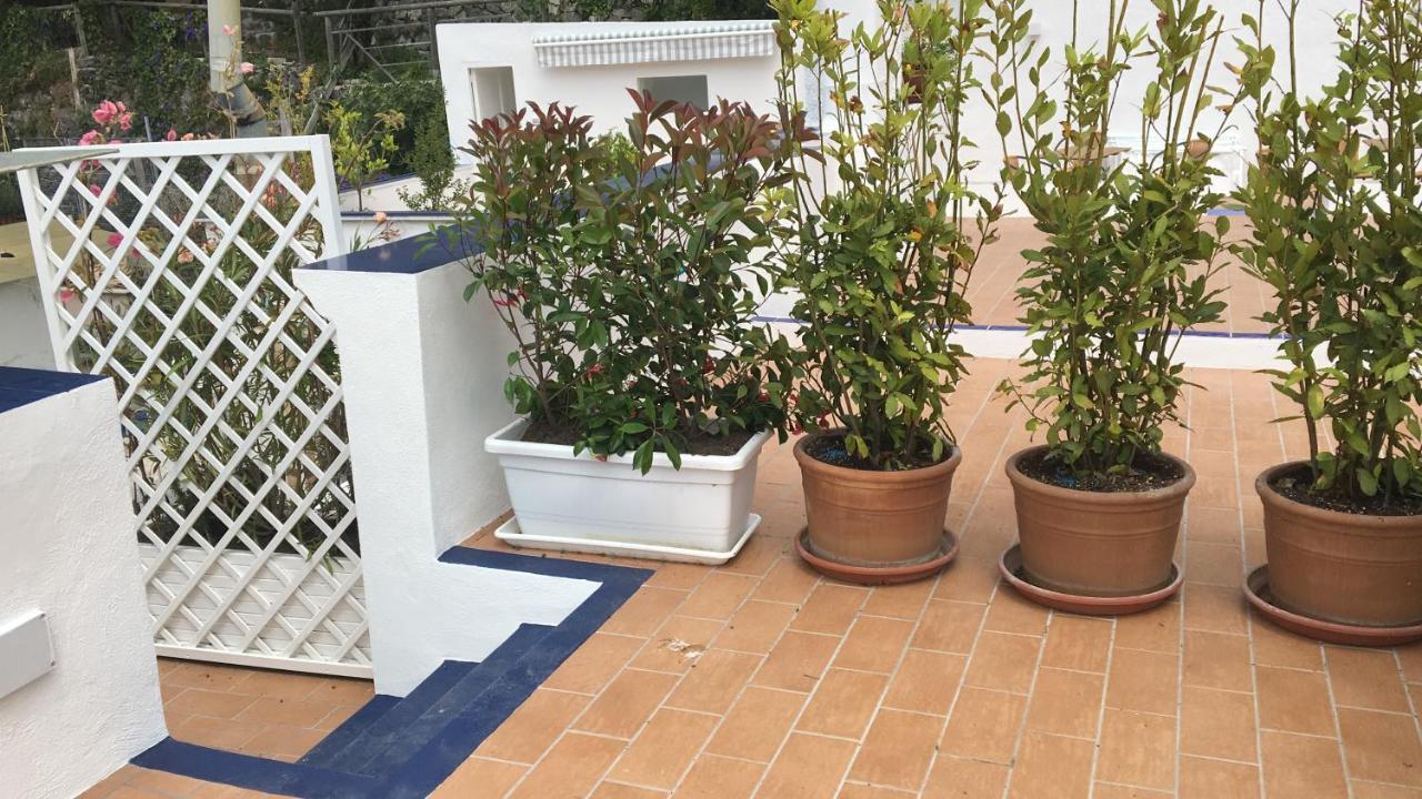Apartamento Panorama Da Cartolina Isquia Exterior foto